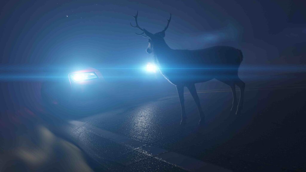 a deer standing on the side of a road next to a car