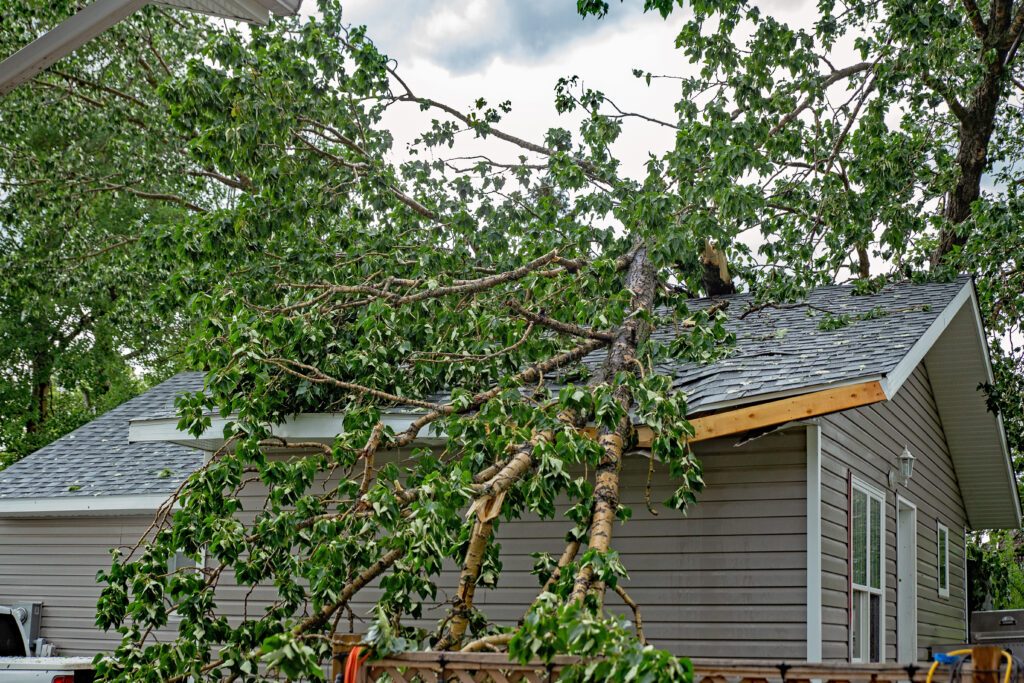 Tree fallen on a house from a storm
